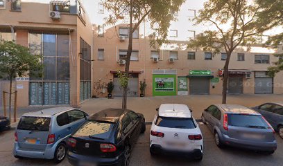 Green City School