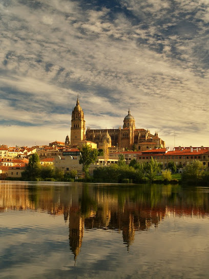 Linguaschools Salamanca