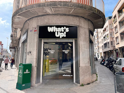 What's Up! | Academia de inglés Girona